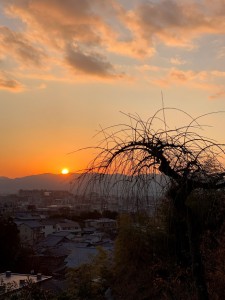 綺麗な夕日